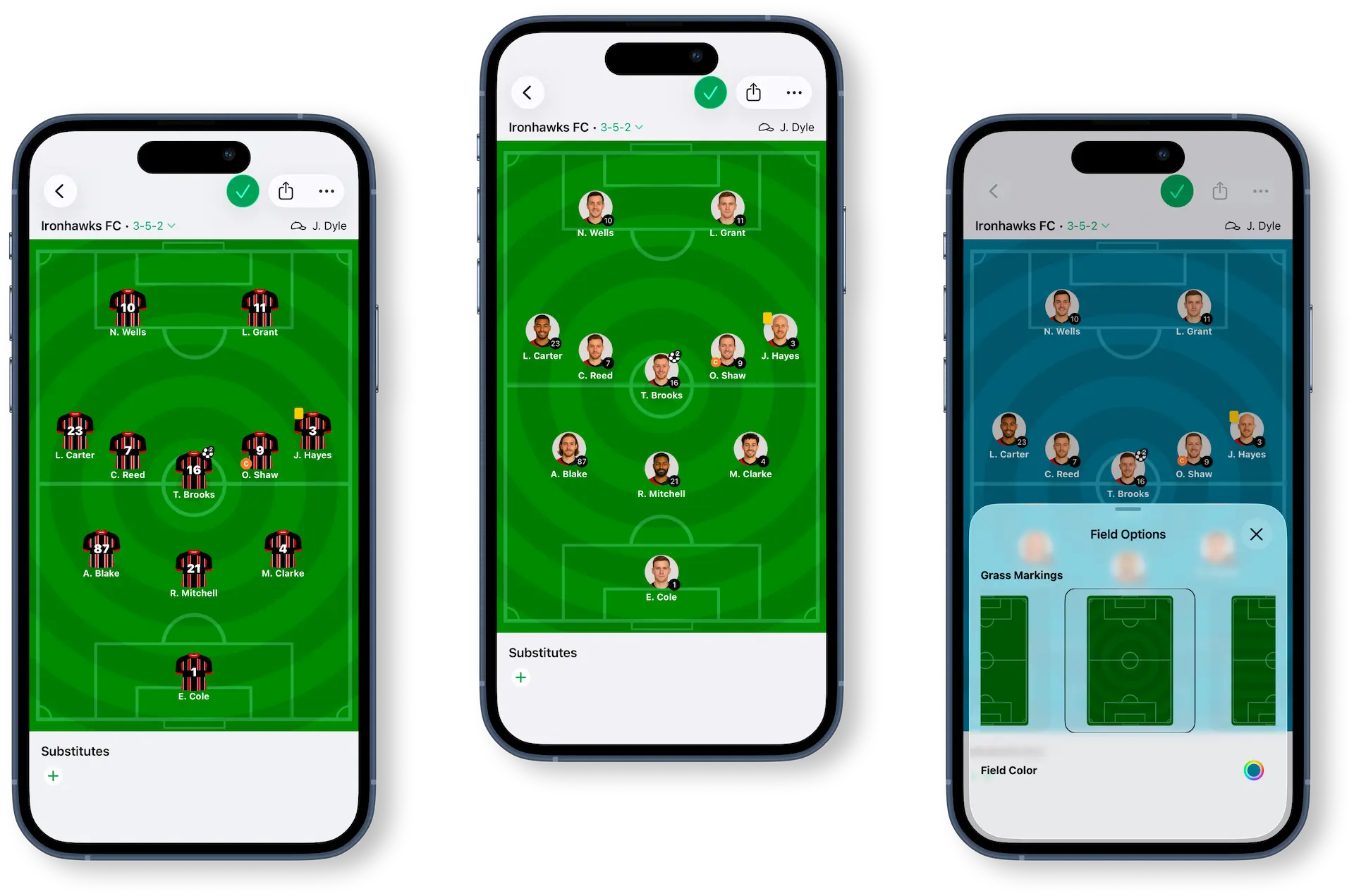 Personalize the pitch and player display